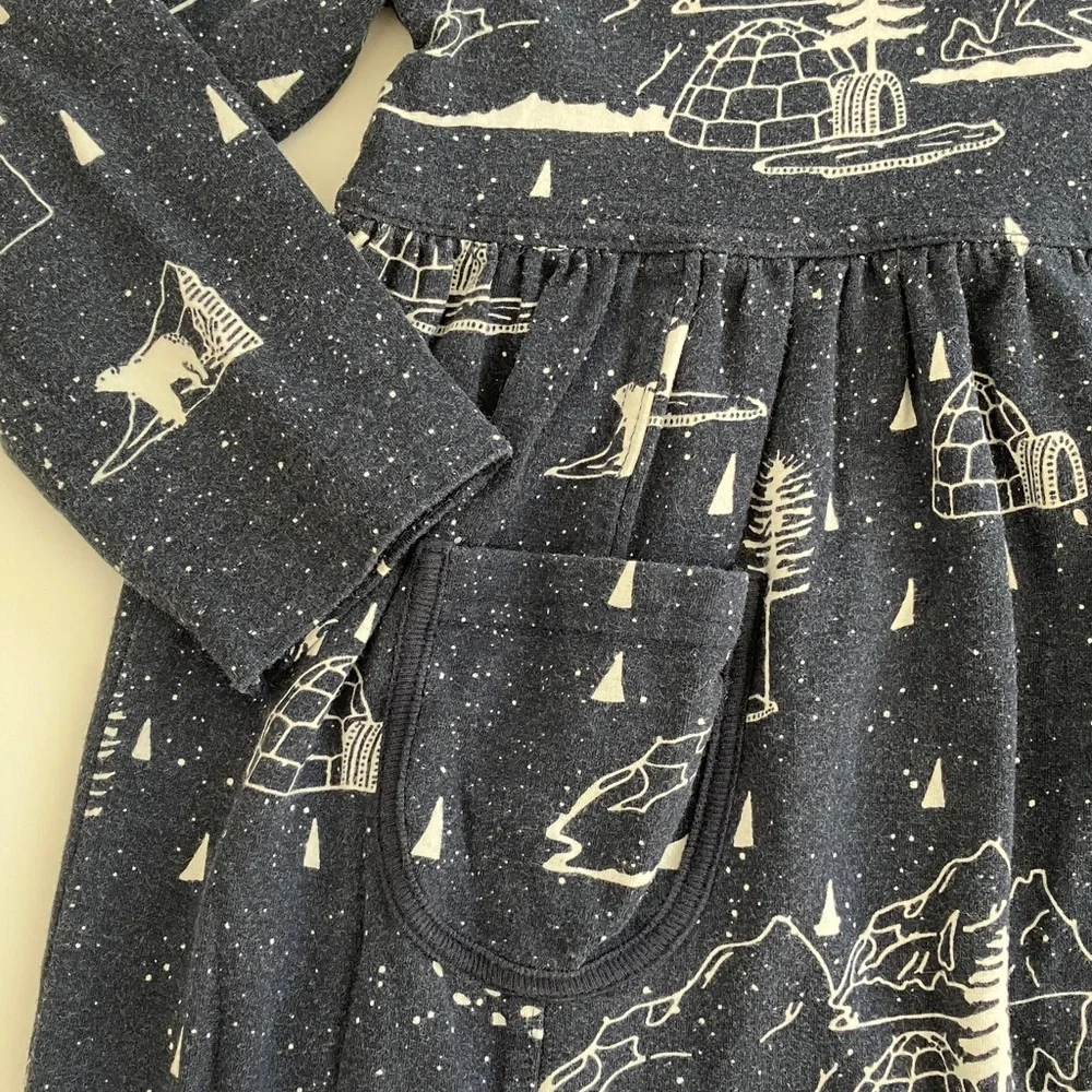 Coccoli Dress (size 4)